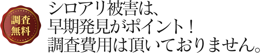 シロアリ被害は、早期発見がポイント！調査費用は頂いておりません。