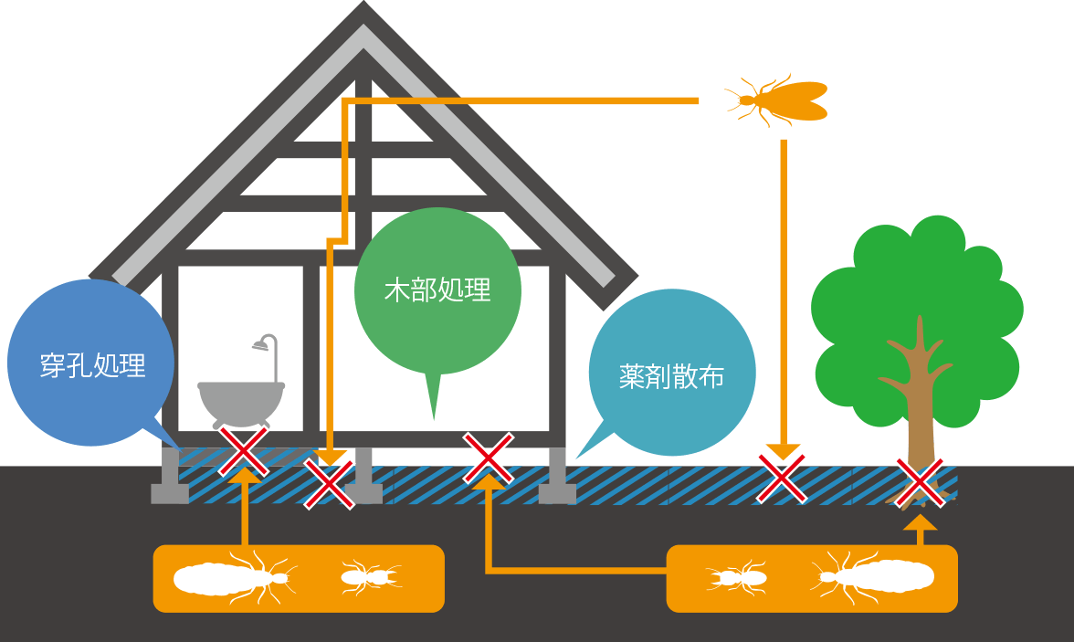 穿孔処理・木部処理・薬剤散布